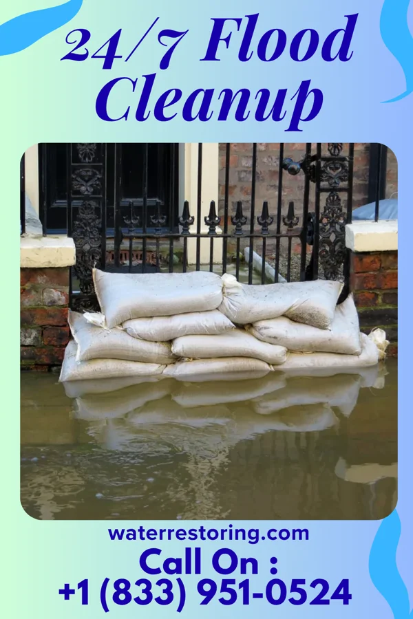 24/7 Flood Cleanup in Kelleys Island, OH