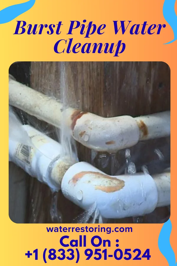 Burst Pipe Water Cleanup in Kelleys Island, OH