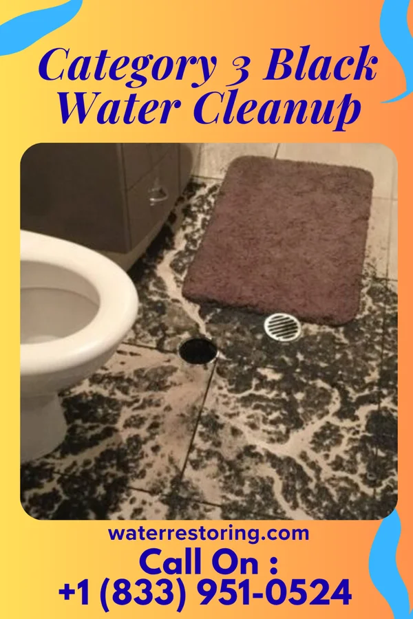 Category 3 Black Water Cleanup in Kelleys Island, OH