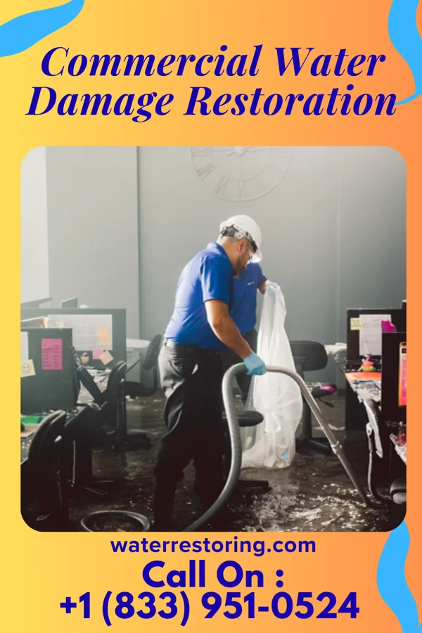 Commercial Water Damage Restoration in Kelleys Island, OH