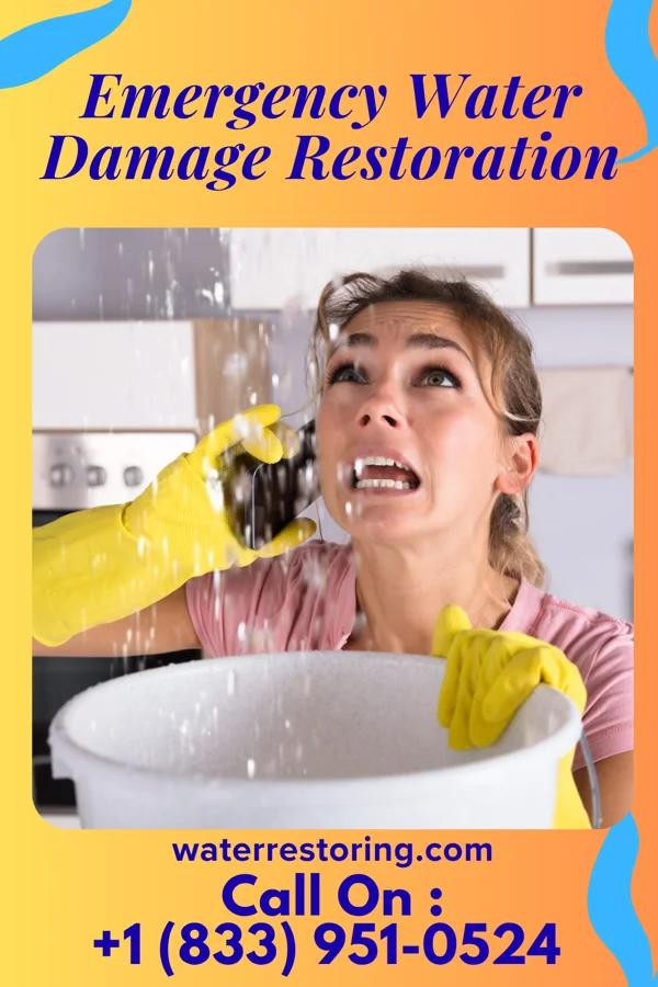 Emergency Water Damage Restoration in Kelleys Island, OH