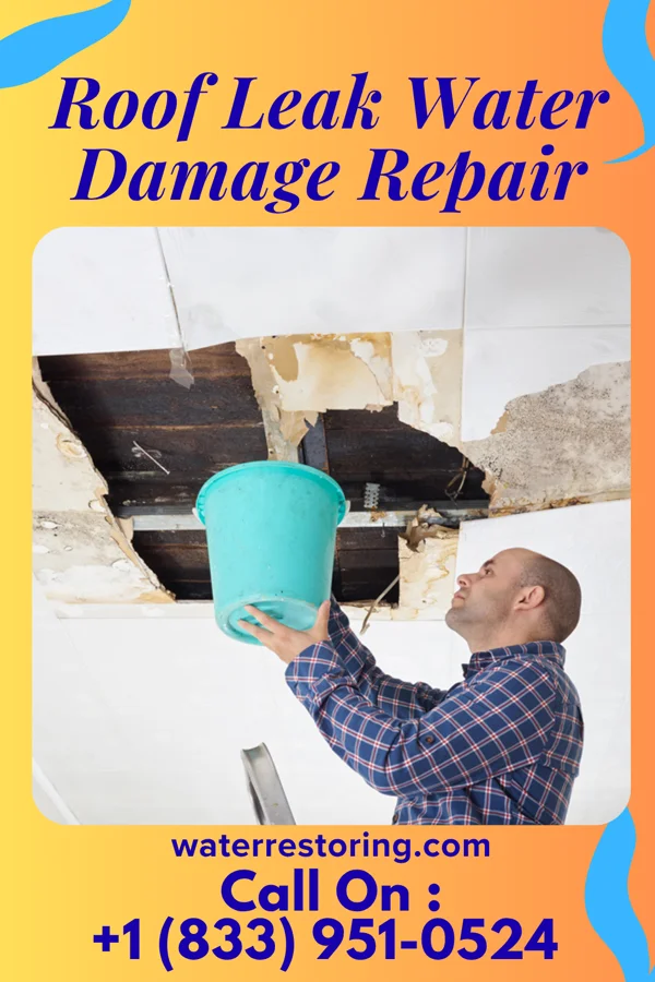 Roof Leak Water Damage Repair in Kelleys Island, OH
