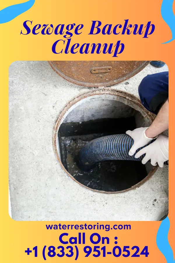 Sewage Backup Cleanup in Kelleys Island, OH