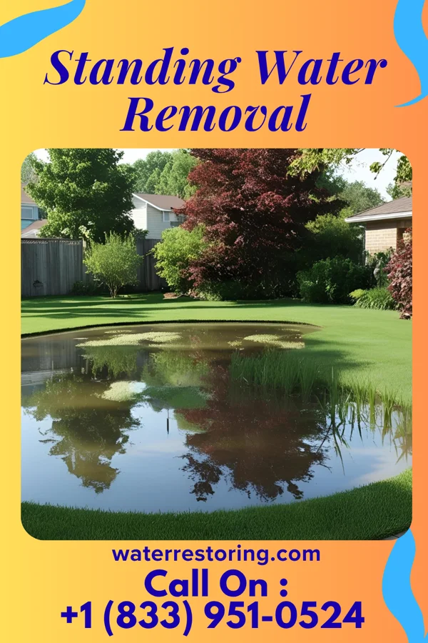 Standing Water Removal in Kelleys Island, OH